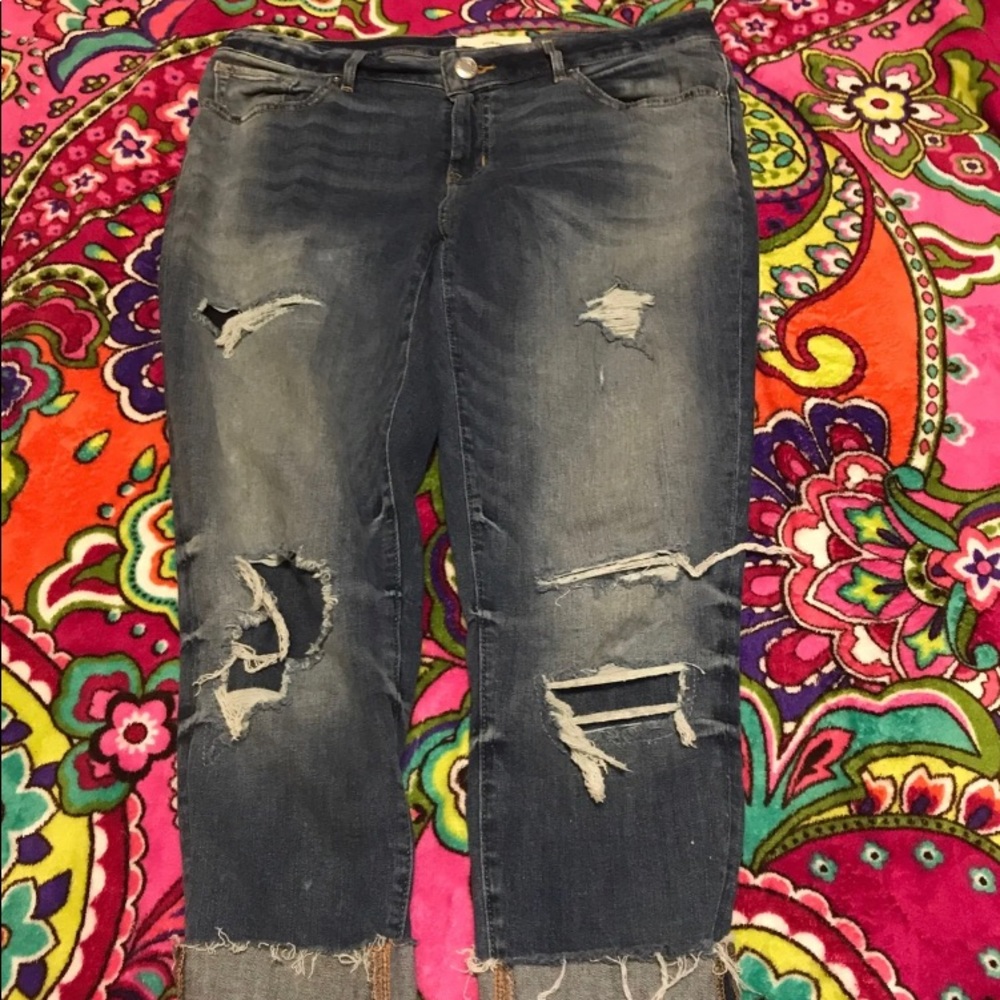 Maurices capris